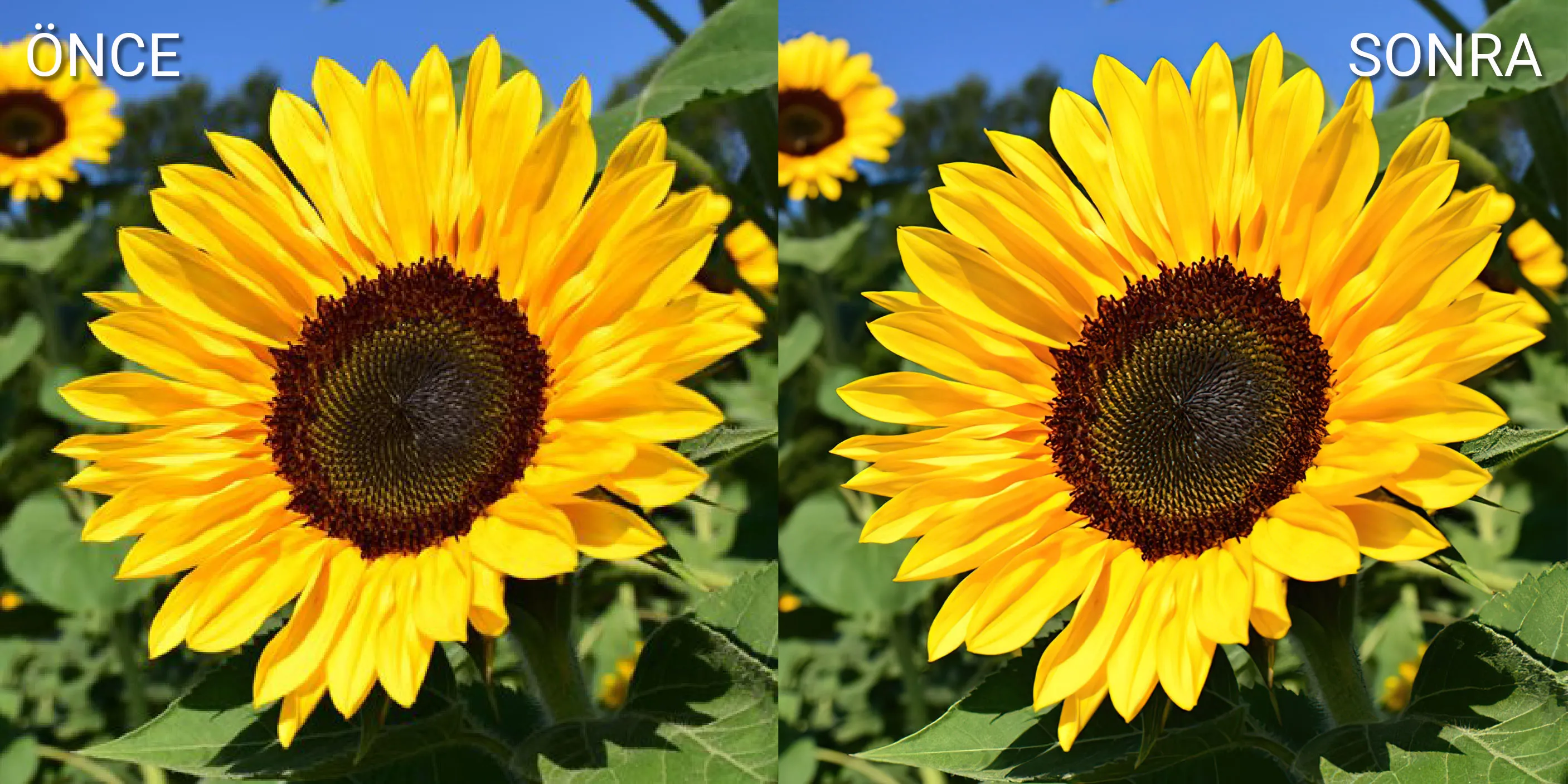 Görsel/Fotoğraf İyileştirme